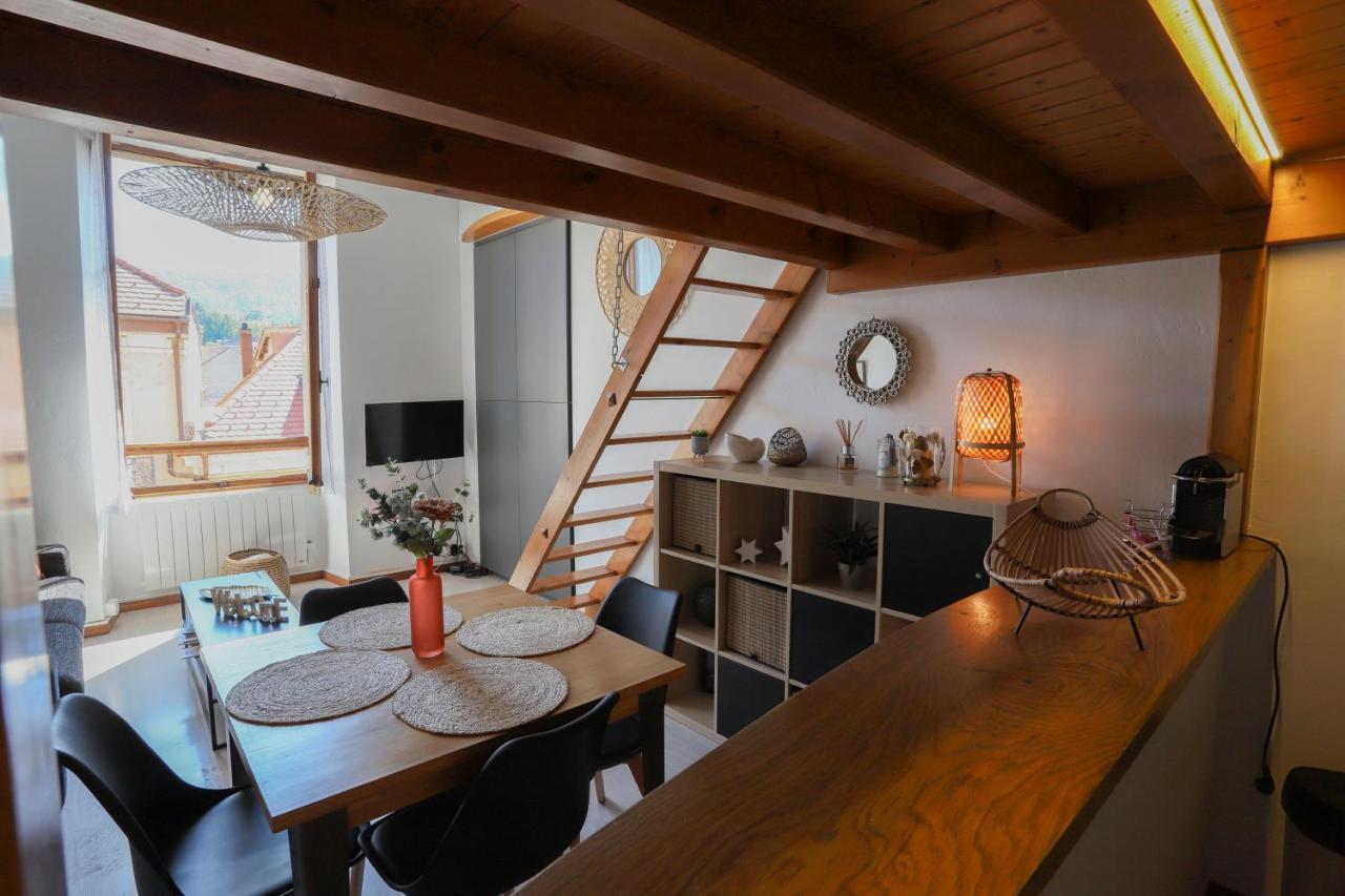 Royalement Bien ! Hyper-Centre - Wifi - Netflix - Disney Plus Annecy Exterior foto